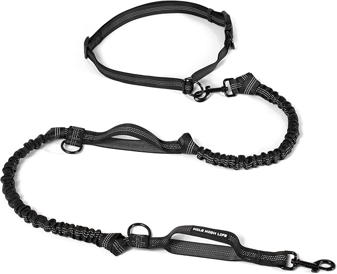 Mile High Life Hands Free Waist Leash for Dog Running Training and Jogging, Adjustable Belt with Double Handle, Reflective Bungee for Medium Large Dogs (Black, 7FT)