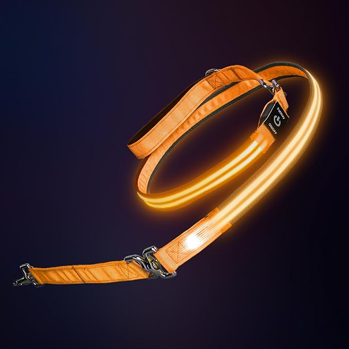 PetIsay Night Walking LED Dog Leash - 6FT Reflective & Waterproof Light Up Safety Leashes for Dogs - USB Rechargeable, Orange