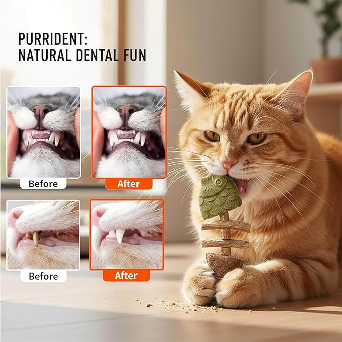 Fix Cat Dental Health, Natural Dental Chew for Cats, Fishbone Shape Cat Teething, Cat Chew with Catnip (C, 3pcs)