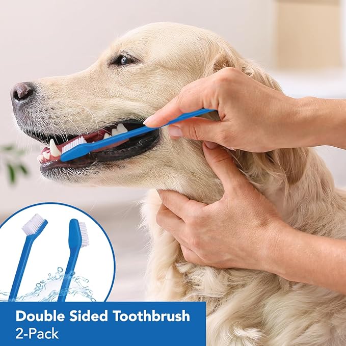 Double-Sided Dog Toothbrush Set – 2-Pack Cat & Dog Toothbrushes with Soft Bristles – Long Handle & Gentle Cleaning Design for Pet Dental Care, Plaque & Tartar Removal at Home