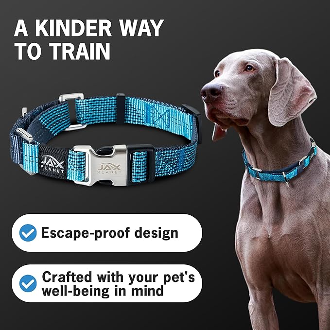 Black Martingale Collar for Dogs - Heavy Duty Nylon Pet Collars for Escape-Free, No Pull Training & Walking with Alloy Metal Release Buckle & Reflective D Ring, One Time Adjustment, Safe & Secure, XL