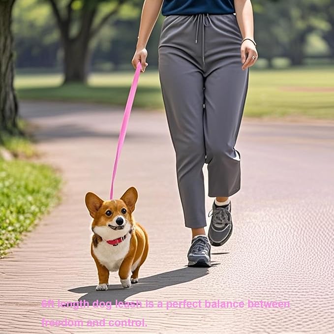Siumouhoi 6 FT Puppy Leashes, Strong Traditional Style Leash with Easy to Use Collar Hook,Dog Lead Great for Small and Medium and Large Dog (Pink, 5/8 in x 6 ft)