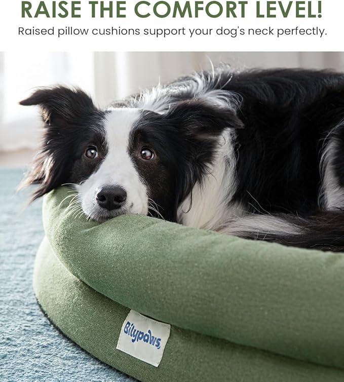Orthopedic Dog Bed for Large Dogs, Pet Sofa Bed with Egg Crate Foam, 4-Sided Bolster, Removable Washable Cover & Anti-Slip Bottom, XX-Large Calliste Green