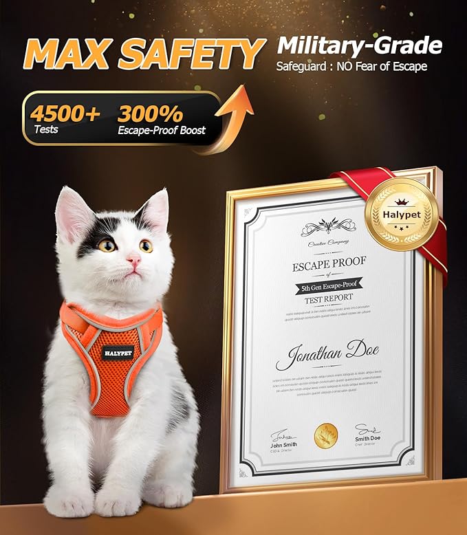 Halypet Cat Harness and Leash Set [MAX Safety 4th-Gen Upgrade] Escape Proof Adjustable Cat Leash Comfortable Soft Vest Easy to Wear Kitten Harness with Reflective Strip for Cats Walking, S Orange