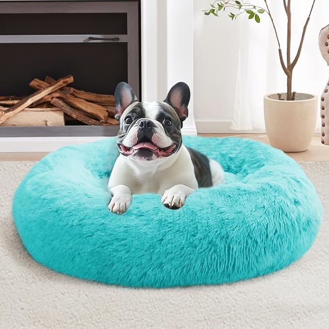 JOLLYVOGUE Calming Small Dog & Cat Bed for Indoor Cats - 20 inches Washable Donut Bed for Kittens & Puppies, Anti-Anxiety Round Fluffy Plush Pet Beds (Fits up to 15 lbs, Aqua Blue)