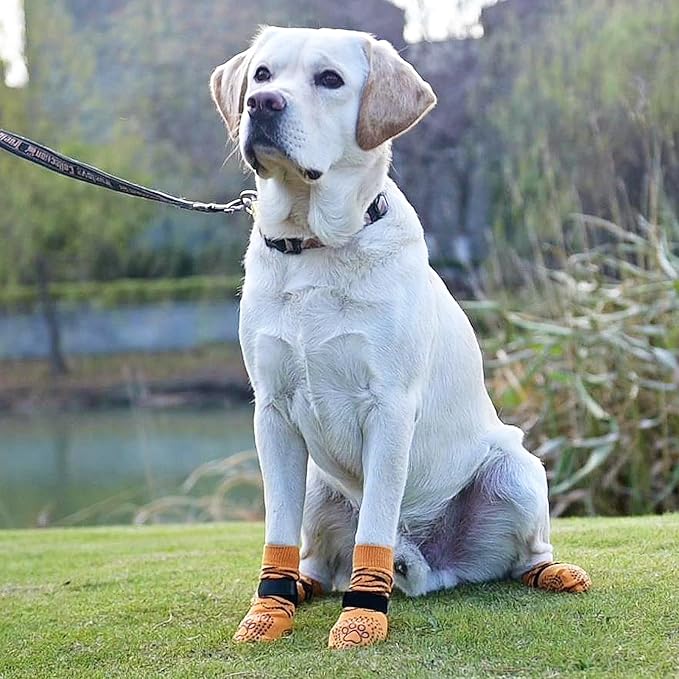 KOOLTAIL Dog Socks for Hot/Cold Pavement to Prevent Licking Paws,Dog Boots&Paw Protector for Hardwood Floors Anti Slip,Traction Control No Twist Grip Booties for Small Medium Large Senior Dogs L