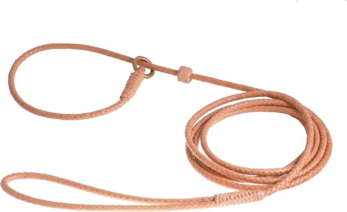 Alvalley Braided Leather Dog Leashes with Stopper - Pet Slip Leads for Dogs - Soft Gentle Leash - Adjustable for Small, Medium, Large & Extra Large Dogs (Tan, 6ft Long, 1/8in Thick)
