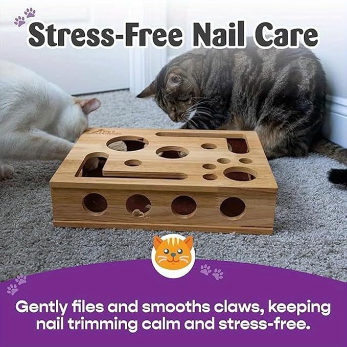Cat Nail File Enrichment Box, 2026 Upgrade Cat Scratch Puzzle Enrichment Box, Nail File Stress Free Alternative to Clippers and Grinders, Puzzle Enrichment Scratcher for Indoor Cats Scratching (Box)