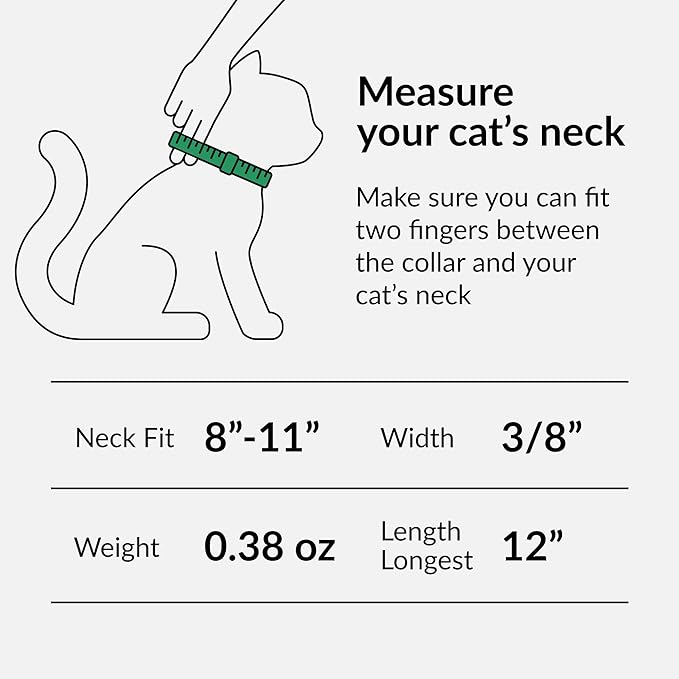 CollarDirect Leather Cat Collar with Bell - Kitten Collar, Small and Big Cat Strap for Boy Cats, Girl Cats with Safety Elastic Strap (Neck Fit 8"-11", Beige)