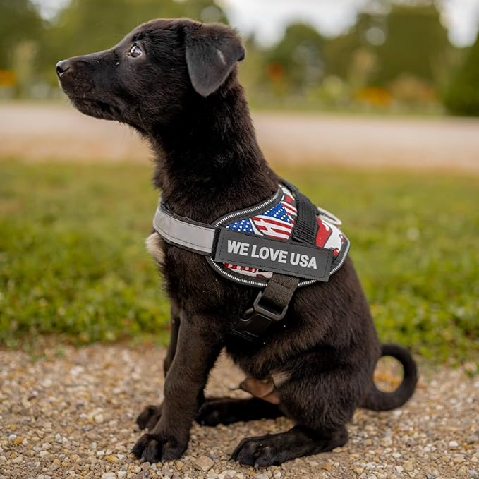 Personalized No-Pull Dog Harness with Name Patch, Adjustable, Reflective, Padded, Heavy Duty Pet Vest to Prevent Tugging, Pulling, or Choking, Training and Walking, US Flag, XL