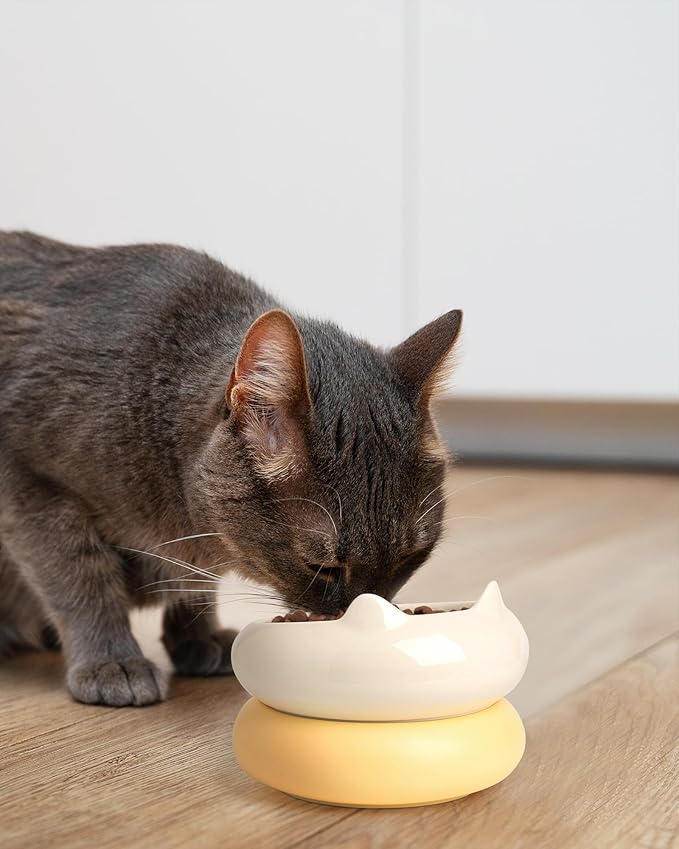 Cat Bowl, Ceramic Cat Bowls Food and Water Bowl Set, Whisker Friendly Cute Kitten Food Bowls for Protecting Pet's Spine, Beige & Yellow
