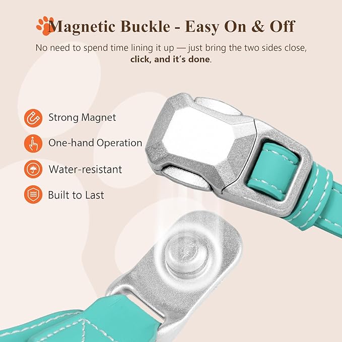 Magnetic Quick-Release Buckle Dog Harness and Leash Set, Easy Walk Faux Leather Puppy Harness, Easy On & Off Dog Vest with Handle for Medium, Large Girl Boy Dogs for Hiking Training, Teal, L
