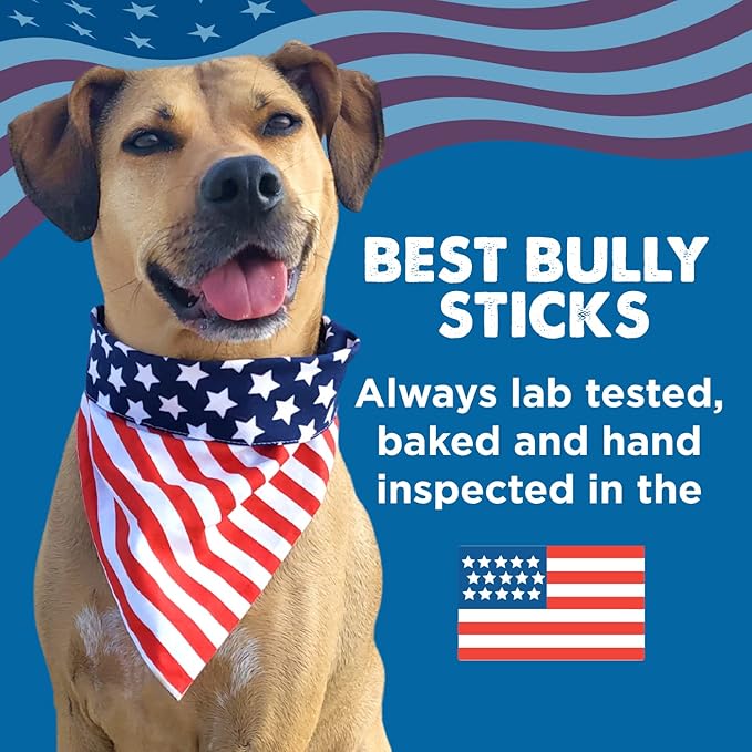 Best Bully Sticks 5-6 Inch Pumpkin Sweet Potato Filled Shin Bones for Dogs - 5 Count (Pack of 1) - Easily Digestible, Long-Lasting, Refillable Treat