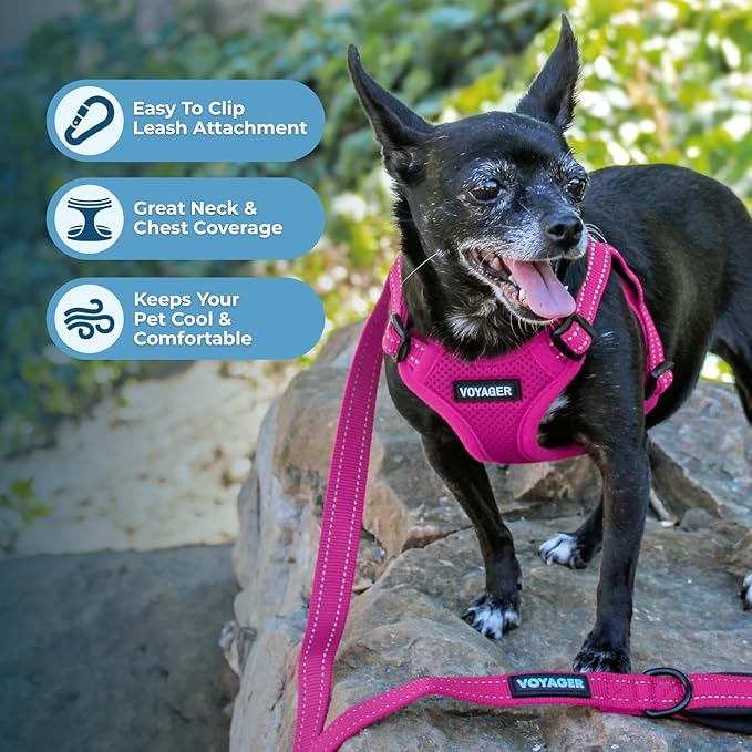 Best Pet Supplies Voyager Mesh Dog Breathable Harness Reflective Stitching, All Weather Adjustable for Walking Training, or Running - Heavy Duty & Durable, Harness (Fuchsia), M