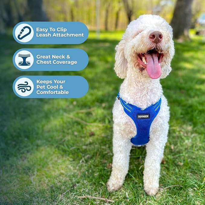 Best Pet Supplies Voyager Mesh Dog Breathable Harness Reflective Stitching, All Weather Adjustable for Walking Training, or Running - Heavy Duty & Durable, Harness (Royal Blue), M