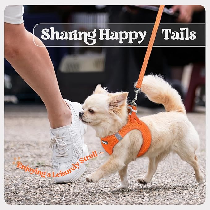 rabbitgoo Dog Harness Small Sized and Leash Set, Step in Soft Light Puppy Vest, Breathable Mesh Pet Harness, Reflective for Safe Easy Walking, Orange S