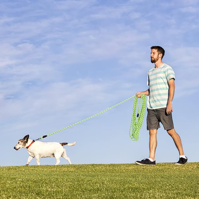 Long Dog Leash for Training 20Ft-Reflective Nylon Rope with Swivel Hook-Recall Agility Lead for Large Small Medium Dogs Outside Walking Hiking-Green Diam 1/2"