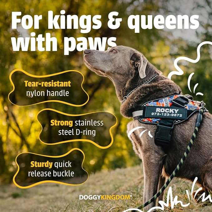 Personalized No-Pull Dog Harness with Name Patch, Adjustable, Reflective, Padded, Heavy Duty Pet Vest to Prevent Tugging, Pulling, or Choking, Training and Walking, Pink, L