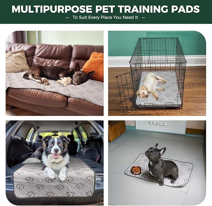 FXW Washable Pee Pads for Dogs, Leak-Proof & Non-Slip, Specifically Designed for Whelping Box, 36" Round, Khaki, 1 Pack