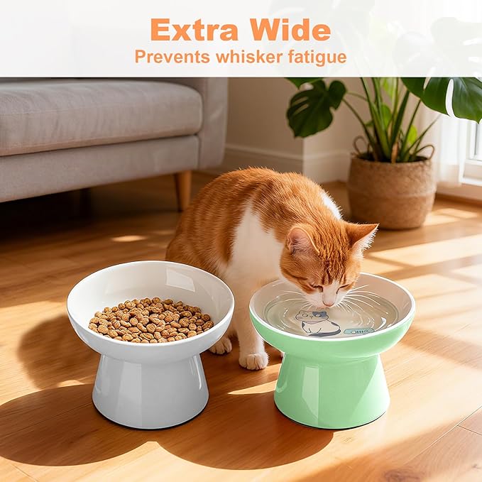 Elevated Cat Bowls,2 Pcs Ceramic Raised Cat Food Bowls with Non-Slip Base,Whisker-Friendly Shallow Design,Lead & Cadmium Free Pet Feeder,Dishwasher and Microwave Safe (Green&Light-Grey)