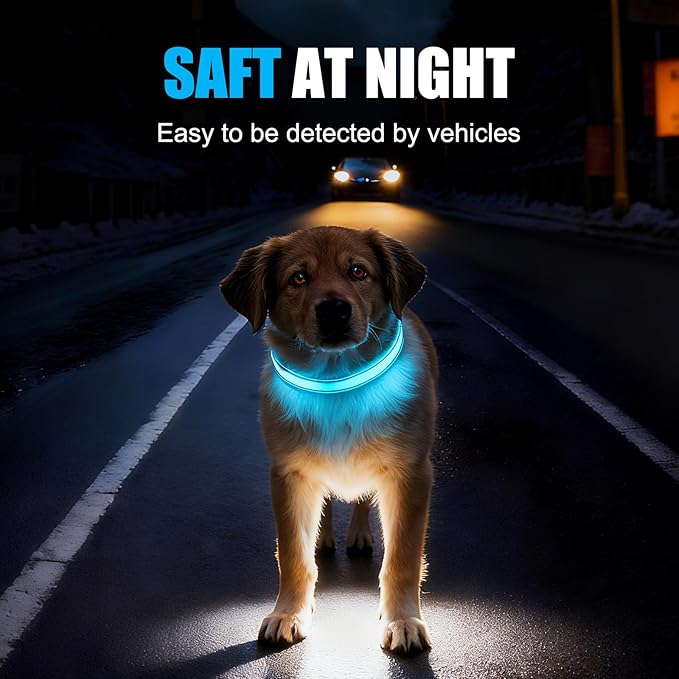 LED Dog Collar Rechargeable- Brightest Light Up Dog Collars - 1,600 Feet of High Visibility - Magnetic Charging - Glow in Dark Dog Lights for Night Walking, Blue XL