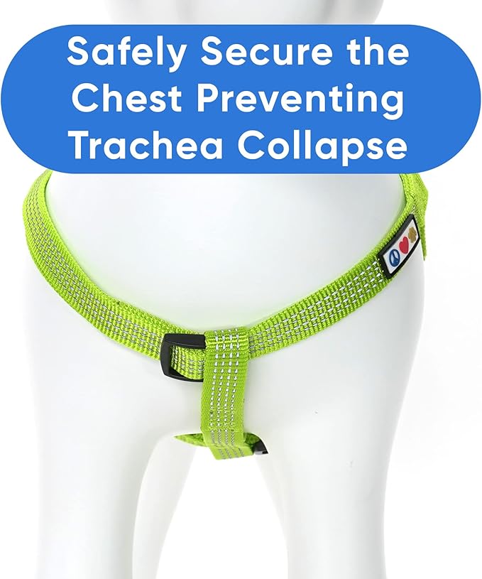 Pawtitas Reflective Step-in Dog Harness – Adjustable No-Pull Vest for Puppies to Seniors, Safe & Comfortable, M Green