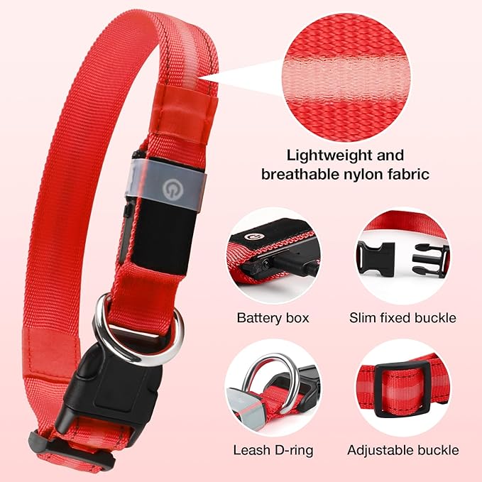 Fiveda Light Up Dog Collar, USB Rechargeable 6 Modes, Waterproof Charging Port, Long Lasting LED Collar - Adjustable Nylon Reflective for Dogs, Sizes S/M/L (7/9/11 Lights) - Red, M