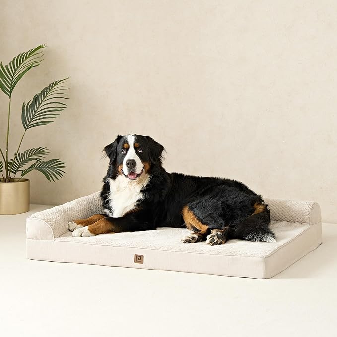 EHEYCIGA Memory Foam Dog Bed XLarge Sized Dogs, Extra Large Dog Bed Orthopedic with Washable Removable Cover, Waterproof XL Pet Bed Couch, 44x32x6.5 Inches, Beige