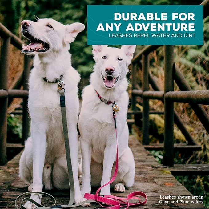 Wilderdog Waterproof Dog Leash - Repels Water & Dirt - Seafoam
