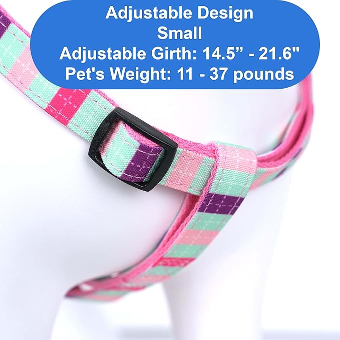 Pawtitas Personalized Dog & Puppy Harness Small Teal/Pink/Purple Custom ID Tag Adjustable No Pull Vest