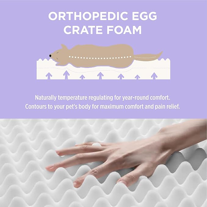 LE SURE Outdoor Waterproof Dog Bed for Medium Sized Dogs, Orthopedic Egg Crate Foam Pet Bed with Oxford Fabric Surface and Removable and Durable Cover, Machine Washable, 30''x20'', Black