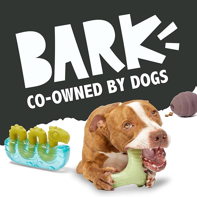 BARK Sun Power Tug Rope Toy for Dogs & Puppies - Medium