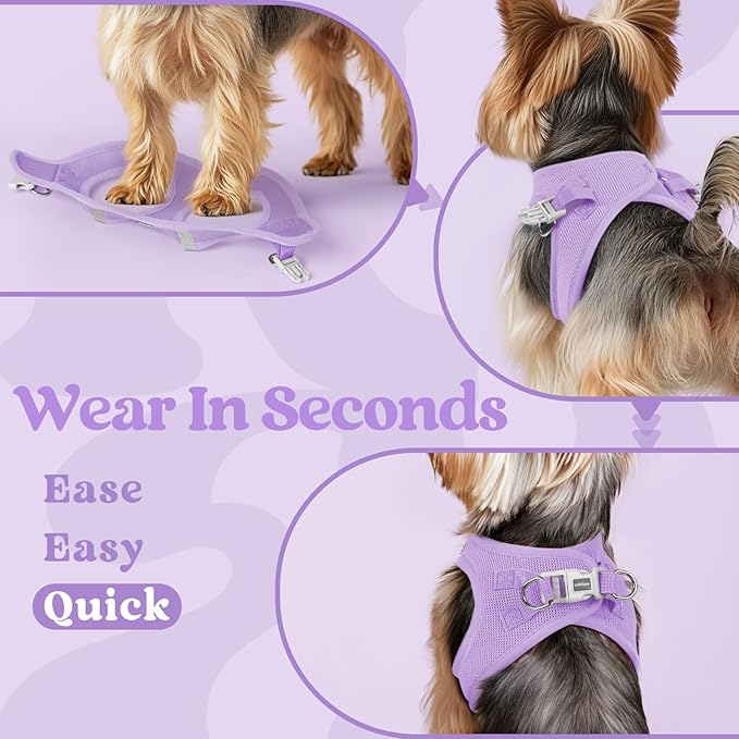 rabbitgoo Small Dog Harness, Step-in Soft Mesh Puppy Vest with Safety Buckle, Breathable Reflective Pet Harness for Small Sized Dogs, Light Purple M