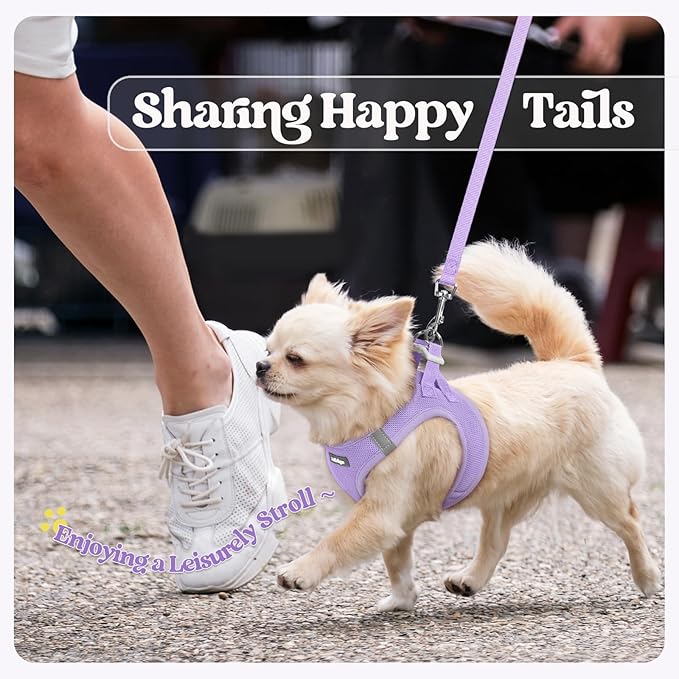 rabbitgoo Dog Harness Small Sized and Leash Set, Step in Soft Light Puppy Vest, Breathable Mesh Pet Harness, Reflective for Safe Easy Walking, Light Purple XS