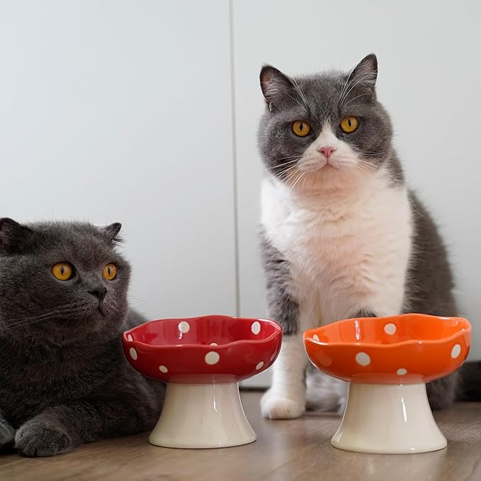 Ceramic Elevated Cat Bowls, Tilted Raised Pet Dish Anti Vomit Kitten Bowl for Indoor Cats, Whisker Friendly Pet Food and Water Bowl for Kitten, Cat, Puppies, Dishwasher Safe (Red+Orange)