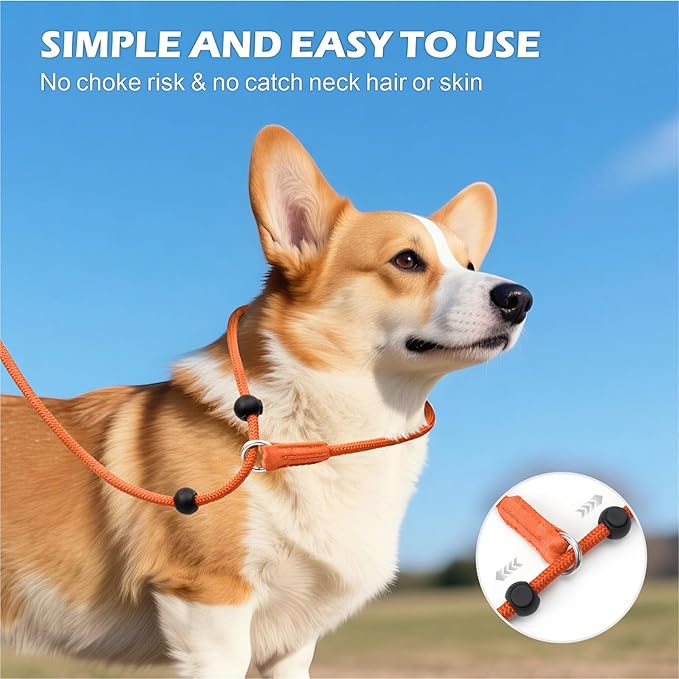 6FT Slip Lead Dog Leash with Double Padded Handle, Anti-Tangle Slip Leads for Dogs, Reflective Nylon No-Pull Training Leash for Small Medium Dogs, Orange