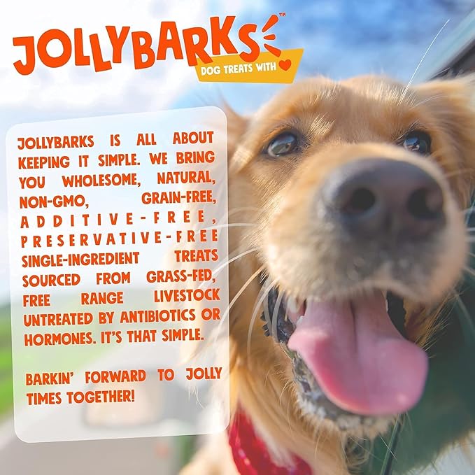 Jolly Barks Bully Sticks for Small Dogs | All Natural, Single Ingredient Bully Sticks for Puppies to Medium Dogs (12" Stnd Bully Sticks - 1pk)