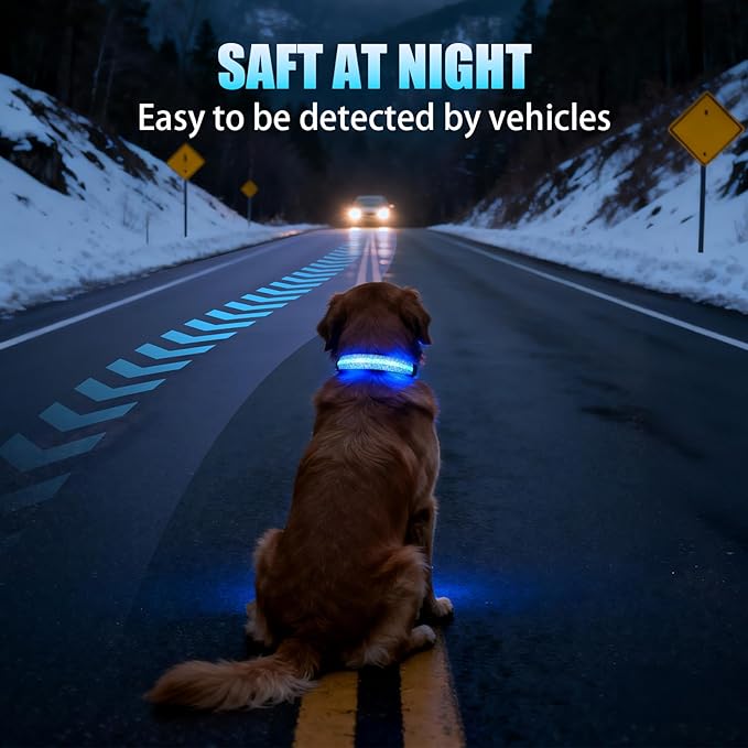 LED AirTag Dog Collar - Brightest Light Up Dog Collars - IP68 Waterproof Air Tag Dog Collar Holder - 1,600 Feet of High Visibility - Magnetic Charging - Dog Lights for Night Walking (Daisy, L)
