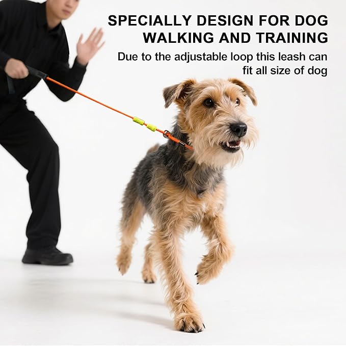 BeauGo|Dog Leash Slip Lead|Dog Training Leash,No Pull Training Lead,2-in-1Dog Lead & Collar,Strong Heavy Duty Braided,Professional Trainer Rope for Small Medium Large Dogs.Slip Leads for Dogs 6 FT
