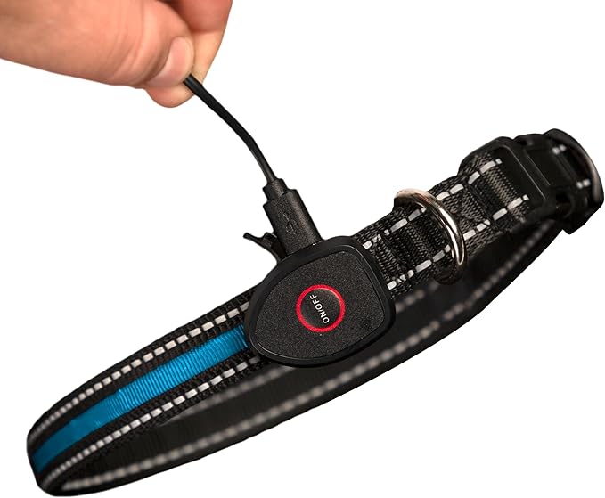 Sherry Kline LED Light-Up Pet Collar - USB Rechargeable - Flashing Glow in The Dark Size Large, Color: Blue