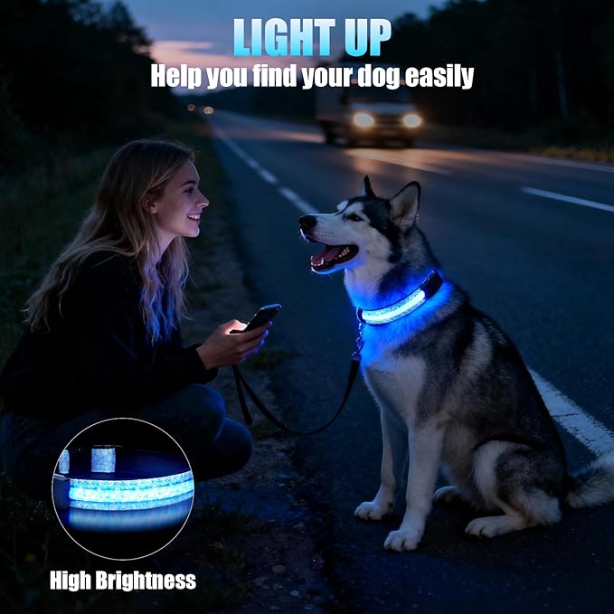 LED Dog Collar - Brightest Light Up Dog Collars - 1,600 Feet of High Visibility - Magnetic Charging - Dog Lights for Night Walking, Daisy Extra Large