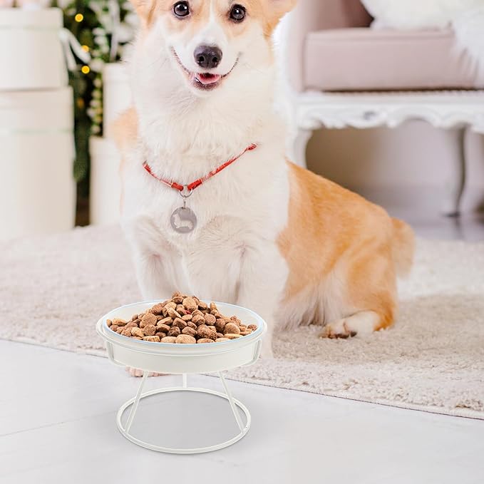 Ceramic Raised Cat Slow Feeding Bowl with Elevated Stand Whisker-Friendly Slow Eat Pet Dish for Small Dogs and Kittens for Indoor Feeding
