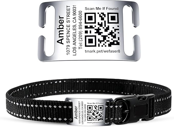 QR Code + Text Dog Tags Personalized for Pets Cats Custom ID Laser Deep Engraving Stainless Steel Ultra Durable Up to 3 Text Inputs, Polished Curved Rectangular Arch, Medium for 3/4" Collars