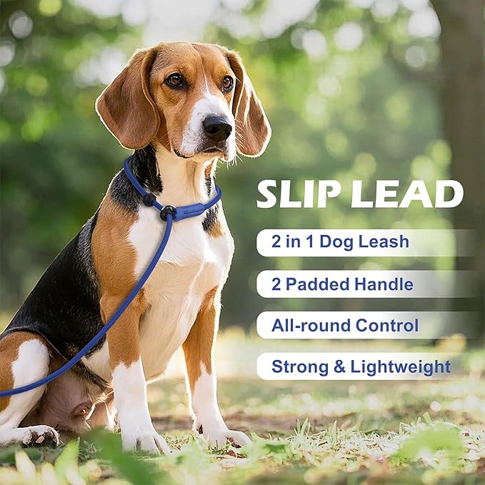 6FT Slip Lead Dog Leash with Double Padded Handle, Anti-Tangle Slip Leads for Dogs, Reflective Nylon No-Pull Training Leash for Small Medium Dogs, Navy Blue
