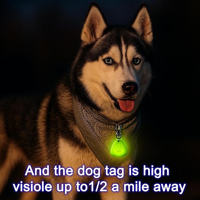 QUELIEN LED Dog Safety Pendant – Night Visibility, Durable, Long Battery Life, Easy Clip-on for All Dogs, Blue