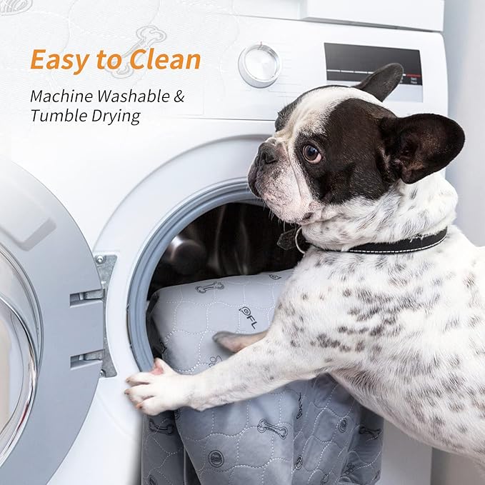 Washable Puppy Pads 2Pack , 41x41 Reusable Pee Pads for Dogs, Absorbent Whelping Pads with Bone Print, Waterproof Dog Rug Non-Slip Protector for Housbreaking,Potty Training,Bed Couch Carpet