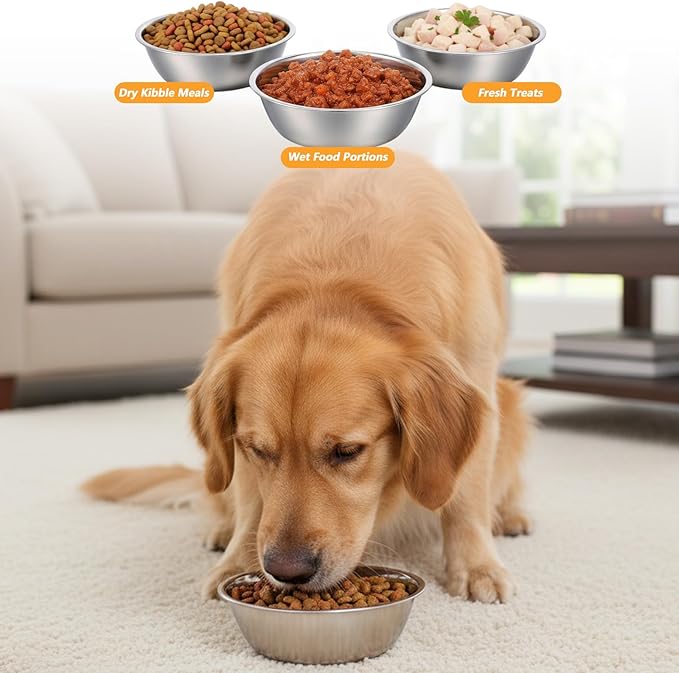 2 Pack 5.5" Metal Cat and Dog Small Bowls, Stainless Steel Dog Bowls, Dogs Water and Food Bowl Set, Pet Dishes for Small Dogs and Cats