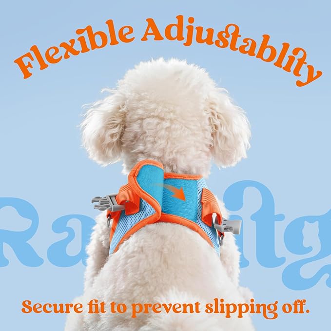 rabbitgoo Dog Harness Small Sized and Leash Set, Step-in Breathable Pet Harness, Soft Walking Reflective Puppy Vest for Small Dogs, Light Blue & Orange, L
