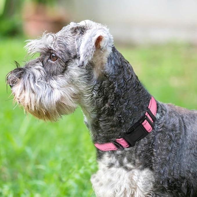 Joytale Reflective Dog Collar, Soft Neoprene Padded, Metal D-Ring, Nylon Pet Collar Adjustable for Medium Dogs, Pink, M