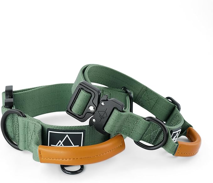 Made to ROAM Premium Explorer Control Collar - Adjustable Heavy Duty Nylon Dog Collar with Quick-Release Metal Buckle and Handle (Oregon Haze, Control Size 3)